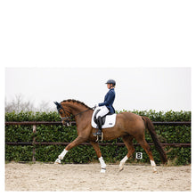 Anky Charm CW Dressage Pad