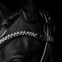 SD Beauty Off Browband