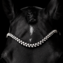 SD Beauty Off Browband