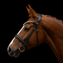 SD Beauty Off Browband