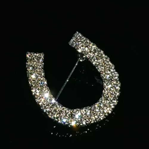 HHD Lucky Horseshoe Silver Crystal Stock Pin