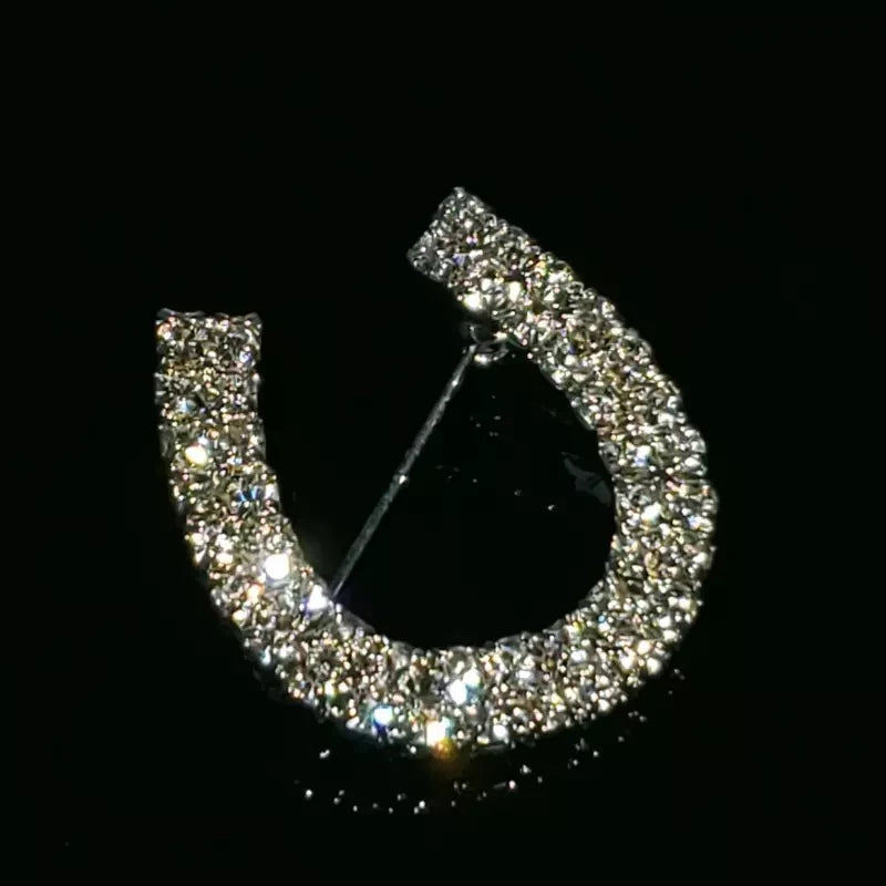 HHD Lucky Horseshoe Silver Crystal Stock Pin