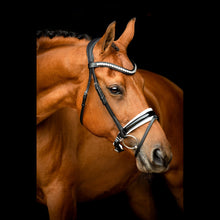 SD  Flash Noseband with Patent