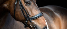 SD Antomic Noseband no. VI