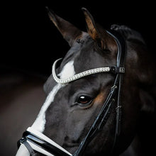 SD Olymbrio Browband