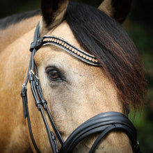 SD Diamond Extreme Browband