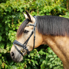 SD Diamond Extreme Browband