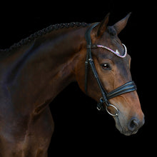 SD Bespoke Northern Lights Browband