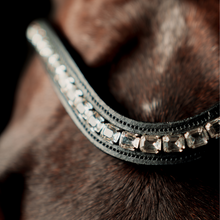 SD Valverde Browband