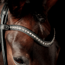 SD Valverde Browband