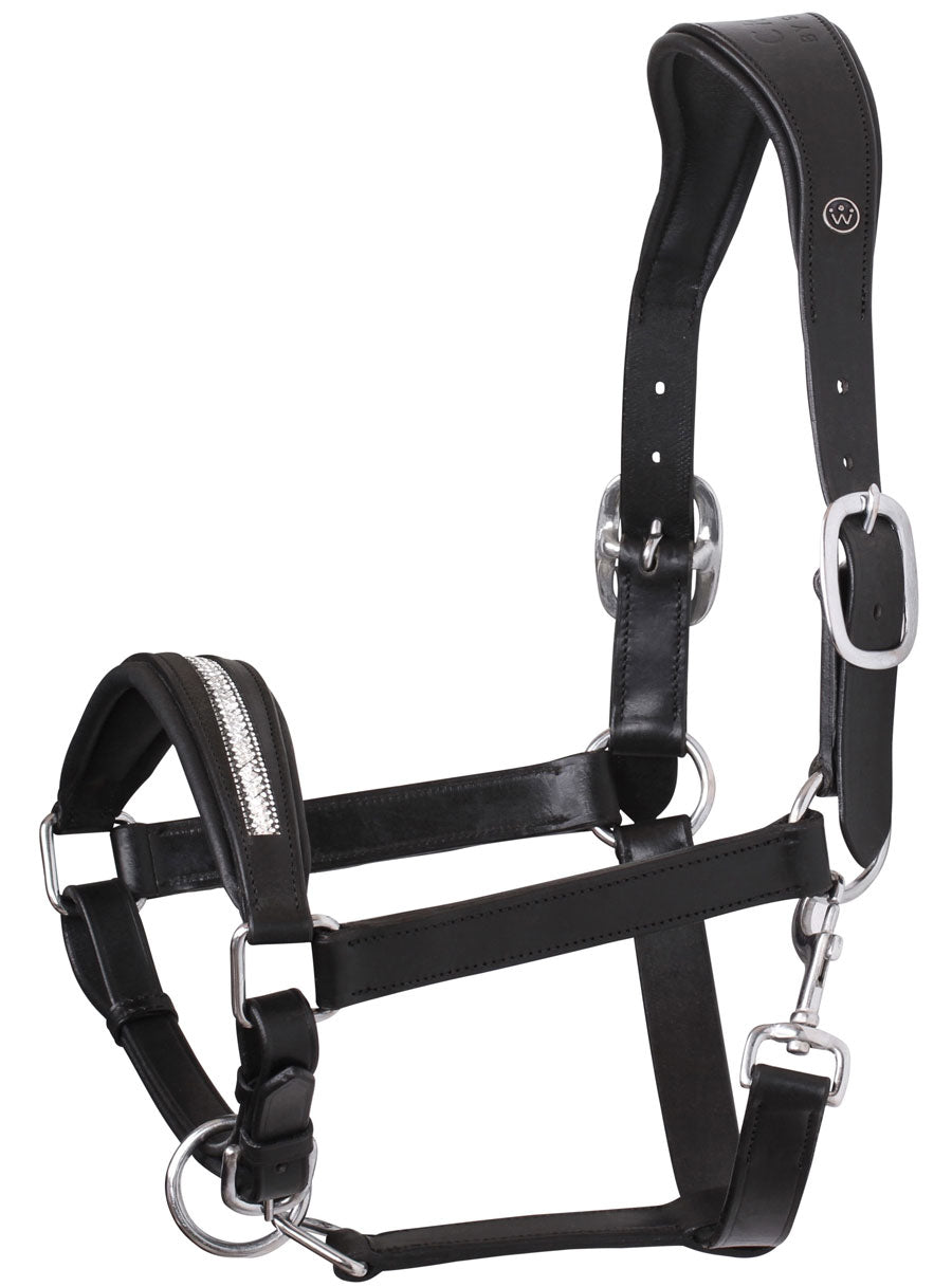 SD Davinci Leather Halter