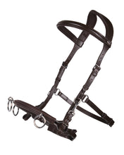 QHP Leather Lunging Cavesson