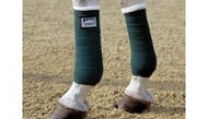 Eskadron Training Bandages Pony