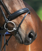 Passier  Exchangeable Noseband Caveson Special with Flash