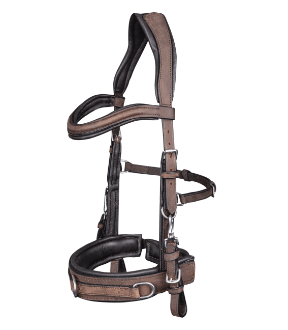 Waldhausen Rênes pour cheval en cuir - acheter sur Waldhausen Rênes pour cheval en cuir - acheter sur