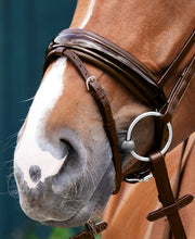 Passier Exchangeable Noseband Caveson Special Patent