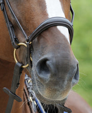 	Passier Exchangeable Dropped Noseband 