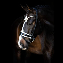 SD Anatomical Patent Noseband With Flash