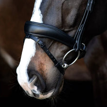 SD Noseband With Flash