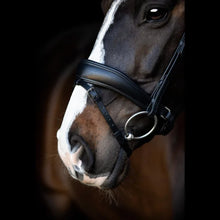 SD Noseband With Flash