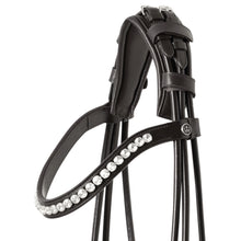 SD MYSTERY ROLLED DOUBLE BRIDLE