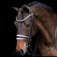 SD Belissimo Rolled Double Bridle